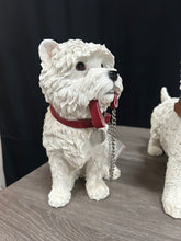 Load image into Gallery viewer, Leonardo Dog Collection
