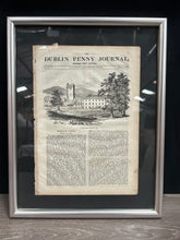 Load image into Gallery viewer, Dublin Penny Journal Article
