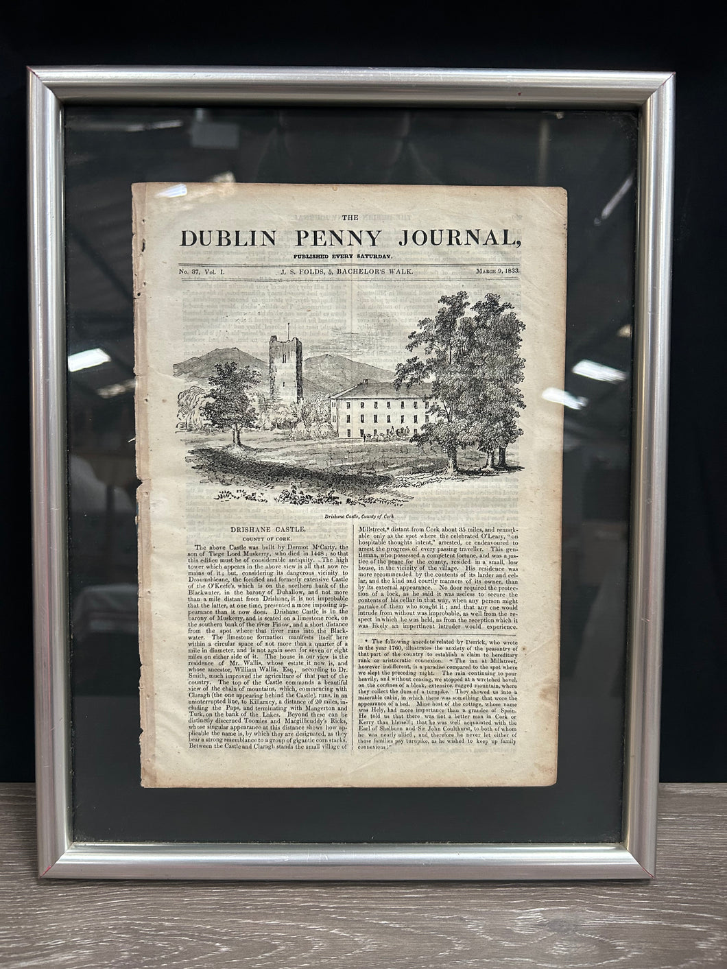 Dublin Penny Journal Article