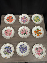 Load image into Gallery viewer, Royal Albert "the queens mothers favourite" plate collection
