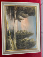 Load image into Gallery viewer, landscape oil painting
