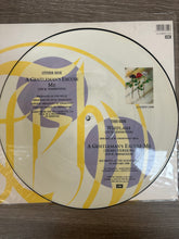 Load image into Gallery viewer, Fish vinyl
