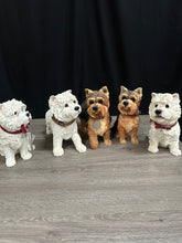 Load image into Gallery viewer, Leonardo Dog Collection
