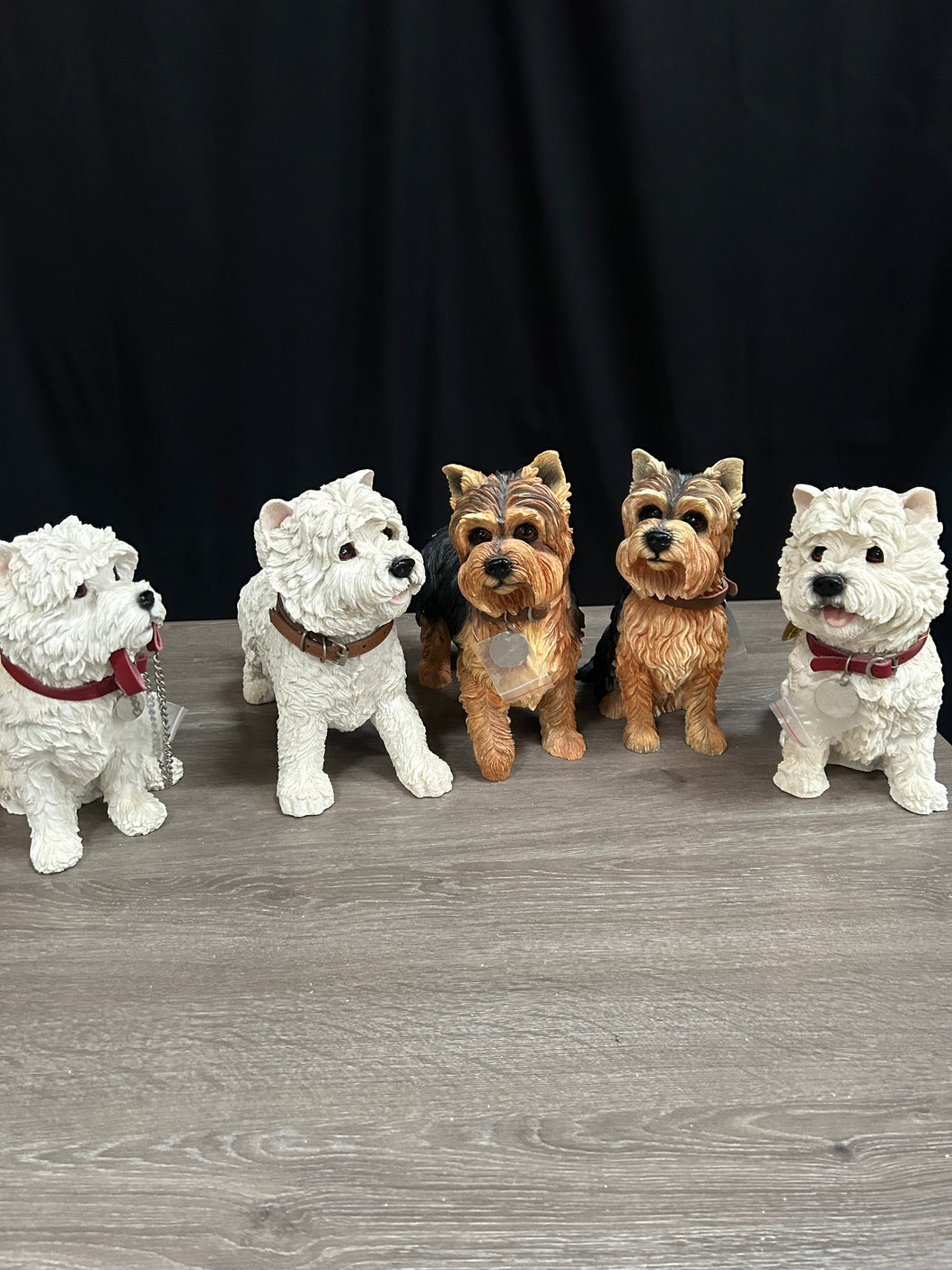 Leonardo Dog Collection