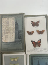 Load image into Gallery viewer, job lot of vintage natural history museum postcards
