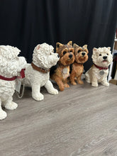 Load image into Gallery viewer, Leonardo Dog Collection
