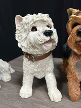 Load image into Gallery viewer, Leonardo Dog Collection
