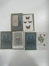 Load image into Gallery viewer, job lot of vintage natural history museum postcards
