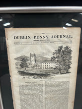 Load image into Gallery viewer, Dublin Penny Journal Article
