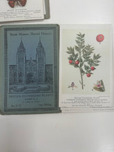 Load image into Gallery viewer, job lot of vintage natural history museum postcards
