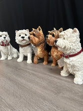 Load image into Gallery viewer, Leonardo Dog Collection
