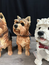 Load image into Gallery viewer, Leonardo Dog Collection
