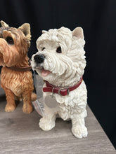 Load image into Gallery viewer, Leonardo Dog Collection
