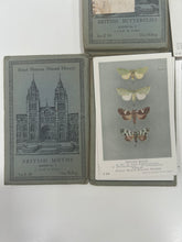 Load image into Gallery viewer, job lot of vintage natural history museum postcards
